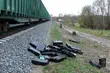 Kontrabanda była ukryta w wagonie ze zrębką drzewną