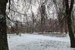 Zapowiada się mroźny weekend. W nocy będzie -10°C
