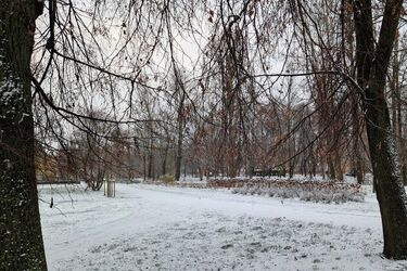 Zapowiada się mroźny weekend. W nocy będzie -10°C