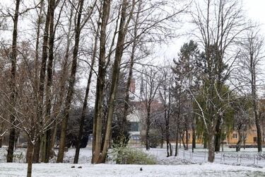 Będzie pochmurno i mroźno, ale bez opadów