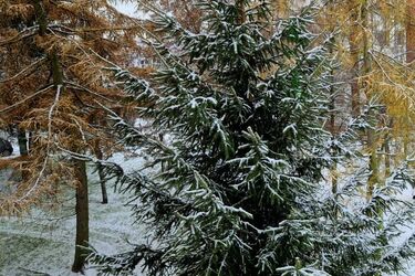 Jaką pogodę przyniesie nam ostatni weekend listopada?