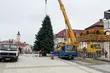 Na Rynku Kościuszki już stanęła choinka