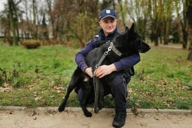Kolejny czworonożny funkcjonariusz w regionie