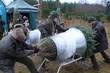 Podlaskie nadleśnictwa sprzedają żywe choinki. Gdzie i kiedy można je kupić? [LISTA]