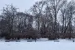 Mroźno i śnieżnie - w poniedziałek opady nie ustaną