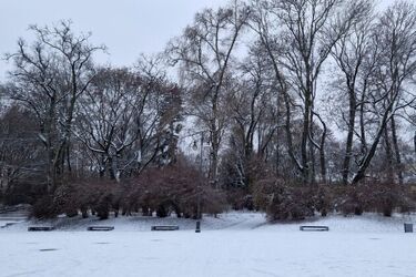 Mroźno i śnieżnie - w poniedziałek opady nie ustaną
