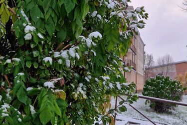 W Białymstoku robi się coraz mroźniej