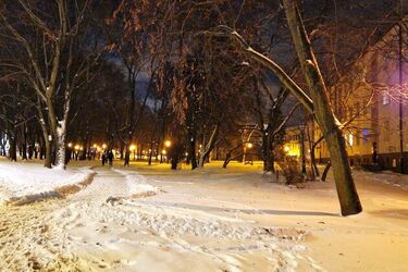 Mróz nie odpuszcza. W ciągu dnia odczuwalna temperatura sięgnie -10°C