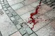 Powiat Białostocki szuka koronera. Ile kart zgonów wystawił w tym roku?