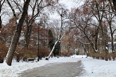 Silny mróz opanował Podlasie