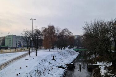 Przed nami 350. dzień roku