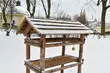 W Białymstoku rozstawiono 36 karmników. Miasto zachęca do dokarmiania ptaków