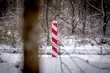 Małoletni cudzoziemcy przekraczają granicę, a potem uciekają z domów dziecka