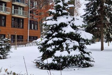 Siarczysty mróz opanuje Podlasie. W nocy temperatura sięgnie -15°C