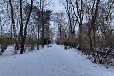 Idzie odwilż. Na drogach i chodnikach znów może być ślisko