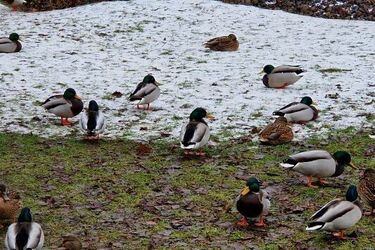 Czwartek będzie pochmurny, ale za to na plusie