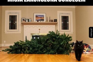 Jak zabezpieczyć choinkę przed kotem?