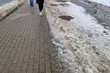 Na walkę z gołoledzią miasto zużyło 1000 ton soli