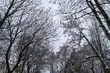 W piątek może przelotnie popadać