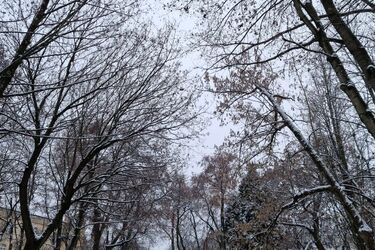 W piątek może przelotnie popadać