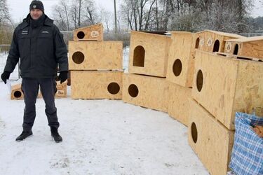Więźniowie wykonali budy dla psów i kotów
