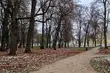 Półmetek tygodnia z przelotnymi opadami