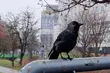 W Białymstoku coraz cieplej - termometry wskażą nawet 8°C