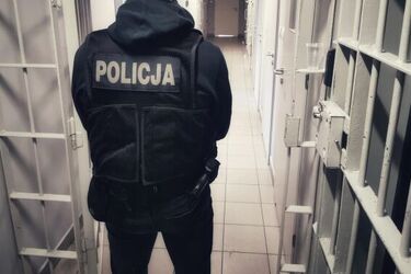 Pijany wjechał w ogrodzenie, uderzył właściciela i zniszczył jego telefon