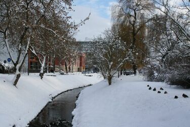 Czy w styczniu czeka nas atak zimy? Długoterminowa prognoza pogody dla Białegostoku
