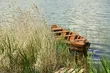 Zagospodarowana plaża i plac zabaw zintegrują mieszkańców