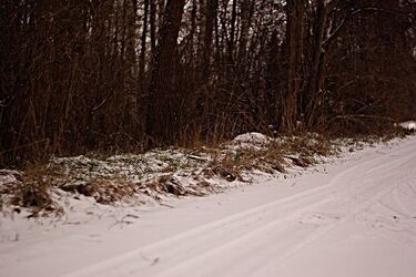IMGW ostrzega przed gołoledzią