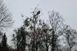 Spore zachmurzenie utrzyma się przez większość dnia