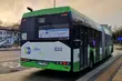 Autobus nr 12 nie wróci na dawną trasę