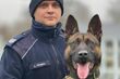 Policja ma nowego psa. Nazywa się Rolo