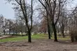 Jaką pogodę przyniesie najbardziej depresyjny dzień roku?