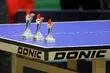 Trwają zapisy do Białostockiej Ligi Sportu w tenisie stołowym