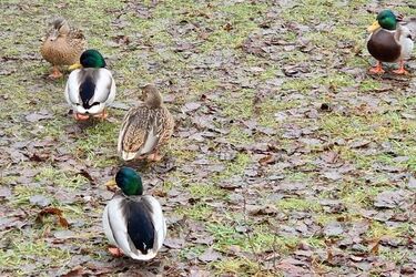 W ciągu dnia temperatura będzie na poziomie zera