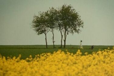 Filmy twórców z Podlasia na prestiżowym festiwalu we Francji