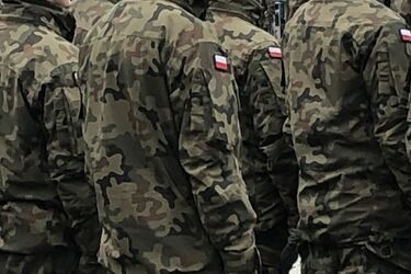 Wojsko organizuje 3-miesięczny kurs oficerski. Kto może się zgłosić?