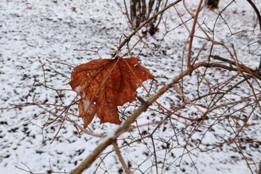 Ostatni dzień stycznia - jaka będzie pogoda?