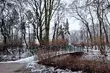 Do Białegostoku powróci mróz? Długoterminowa prognoza na luty