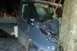 Zabrali auto pracodawcy, by pojechać po piwo. Podróż zakończyli na drzewie