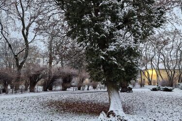 Drugi dzień lutego zapowiada się na mokry