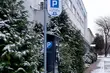 Radny zaproponował bezpłatne parkowanie dla seniorów. Co na to władze?