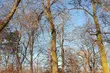 Mroźny półmetek tygodnia. Odczuwalna temperatura sięgnie -4°C