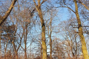 Mroźny półmetek tygodnia. Odczuwalna temperatura sięgnie -4°C