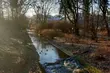 W Białymstoku coraz zimniej. Ile będzie stopni?