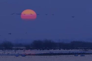 "Świat jak z baśni". Film promujący Podlasie nagrodzony [WIDEO]