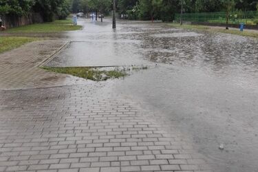 Prezydent nie przyjął uwag mieszkańców Dojlid. Chce pogłębionej analizy