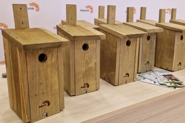 Miasto znów będzie rozdawać budki lęgowe - gdzie i kiedy?